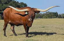 RJF Always Awesome - Tag 060