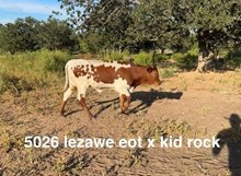 RIO LEZAWE EOT X WT KID ROCK - TAG 5026