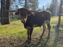 9/26/24 HOT RIO CJ BC 127