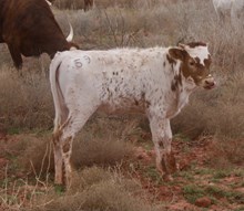 BG Wednesday's Child Full of Grace