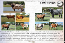 FW Embryo Lot 2022